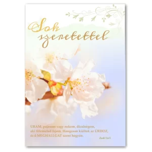 Sok szeretettel, igés, borítékos képeslap