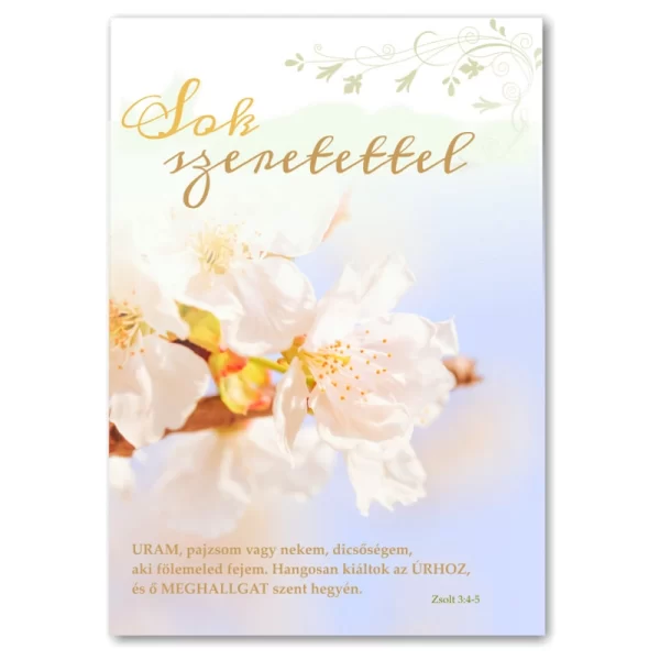 Sok szeretettel, igés, borítékos képeslap
