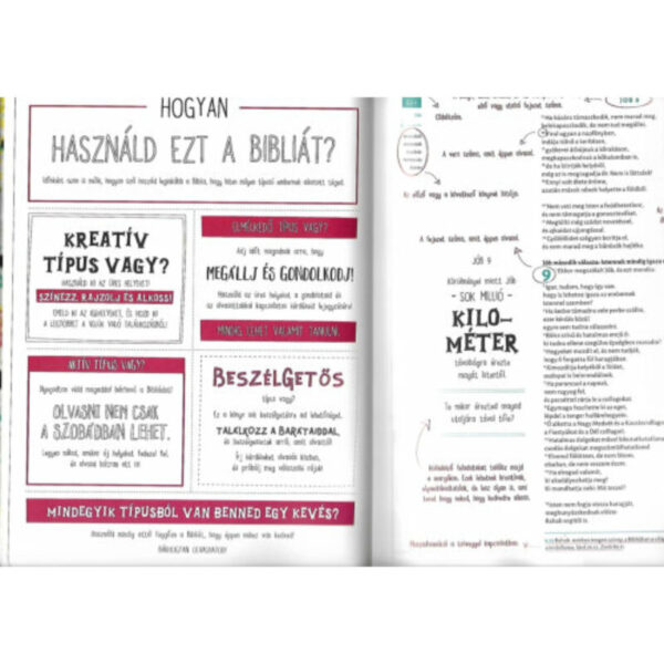 Biblia neked ~ Interaktív kiadás fiataloknak, biblia