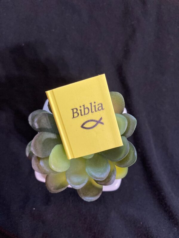 Biblia, radír