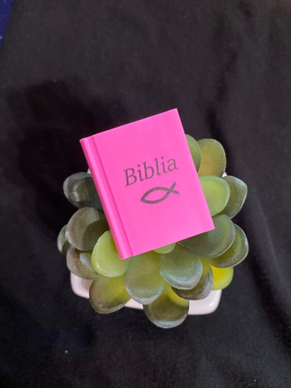 Biblia, radír