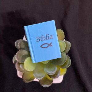 Biblia, radír