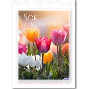 Sok szeretettel, igés képeslap