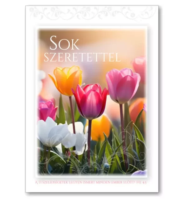 Sok szeretettel, igés képeslap