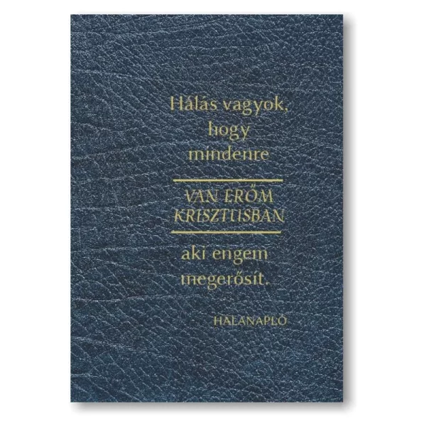 Horváthné Dunaveczki Leona: Hálanapló (kék bőr textúra)