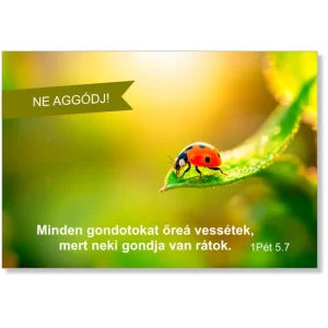 Ne aggódj!, igés kártya