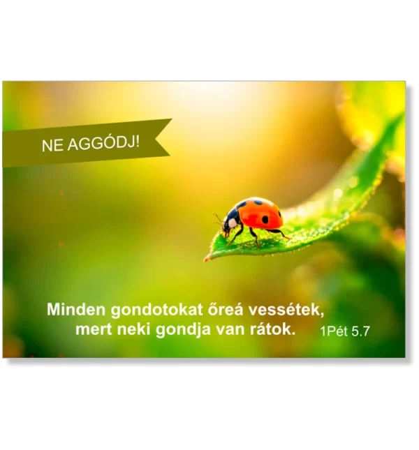 Ne aggódj!, igés kártya