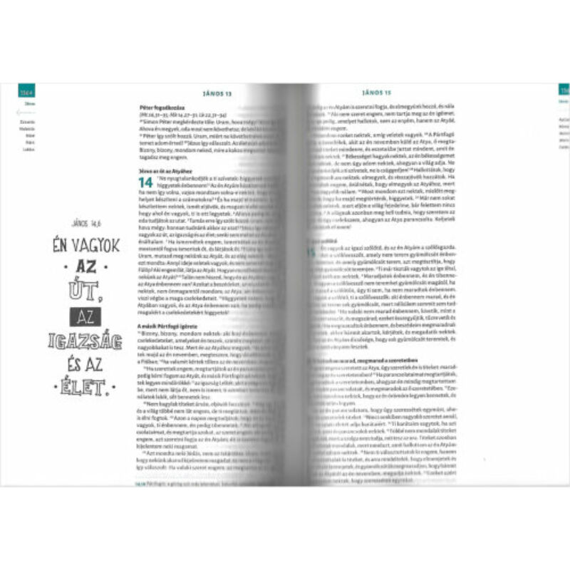 Biblia neked ~ Interaktív kiadás fiataloknak, biblia