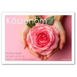 Köszönöm, igés képeslap