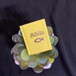 Radír ~ biblia, könyvalakú