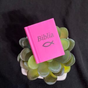 Radír ~ biblia, könyvalakú