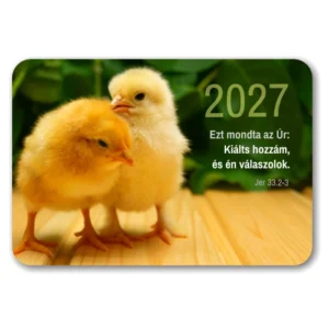 Igés kártyanaptár 2027