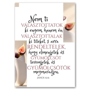 Nem ti választottatok engem, igés képeslap