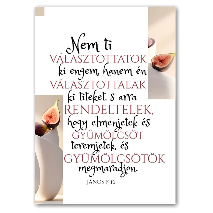 Nem ti választottatok engem, igés képeslap