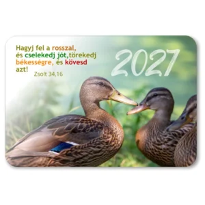 Igés kártyanaptár 2027