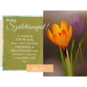 Boldog Születésnapot!, igés képeslap